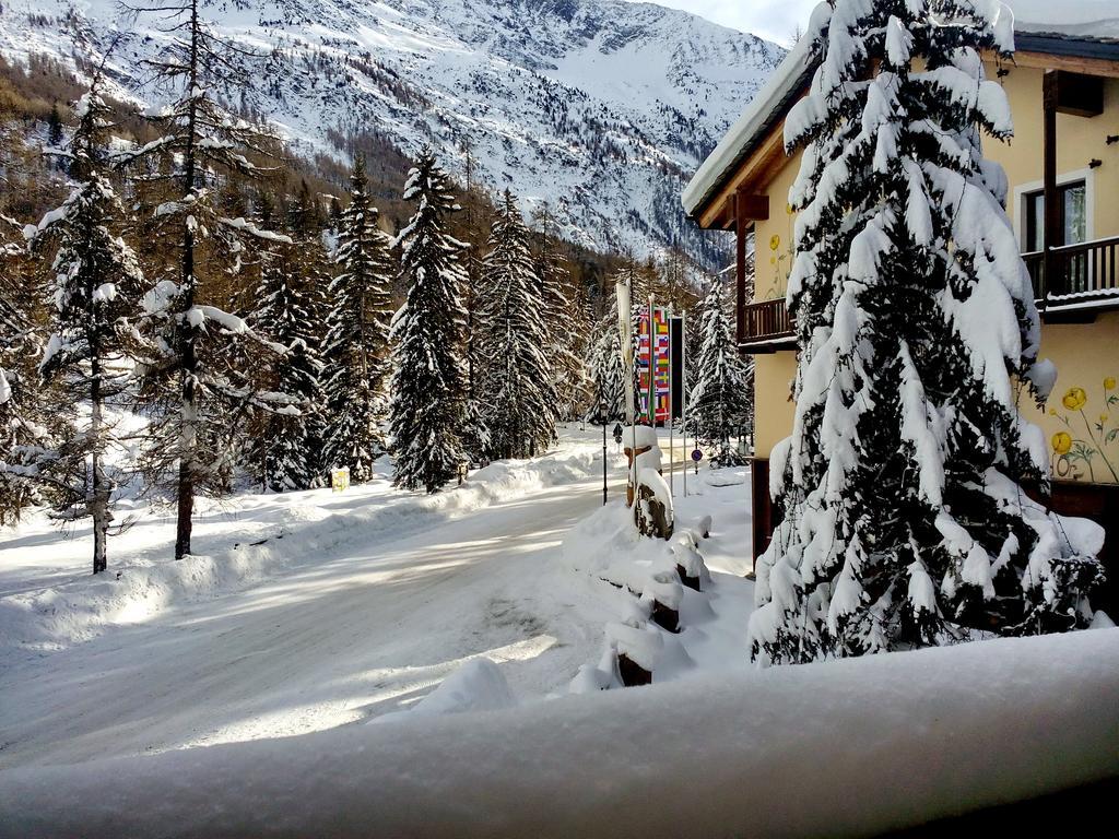 Hotel Boton D'or&wellness