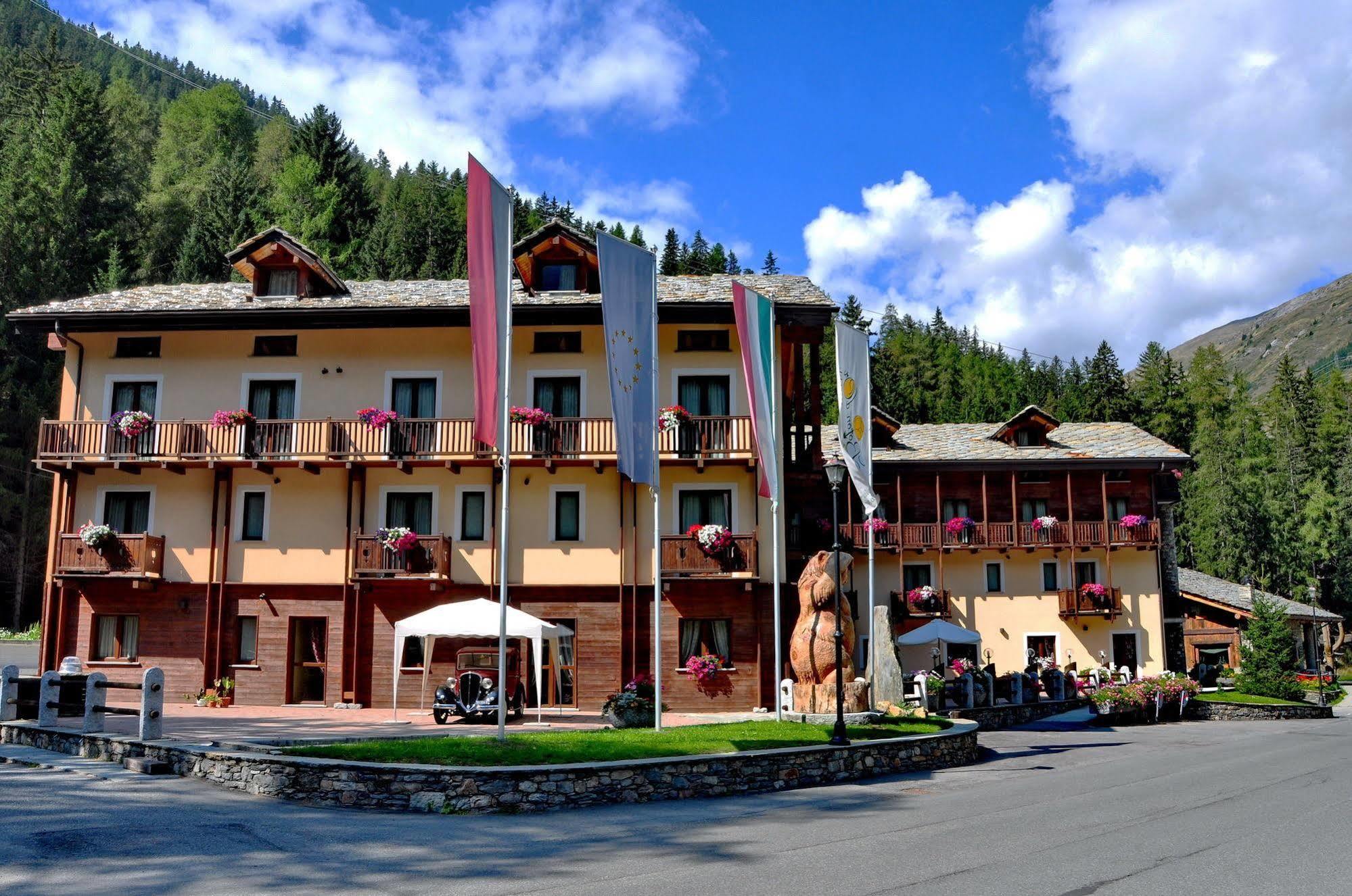 Boton D'or&wellness